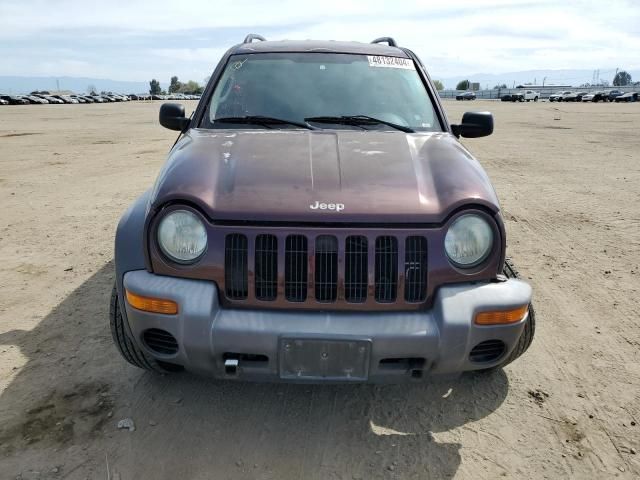 2004 Jeep Liberty Sport