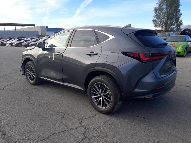 2022 Lexus NX 350