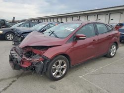 Ford Focus salvage cars for sale: 2013 Ford Focus SE