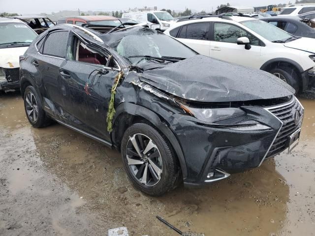 2021 Lexus NX 300H Base