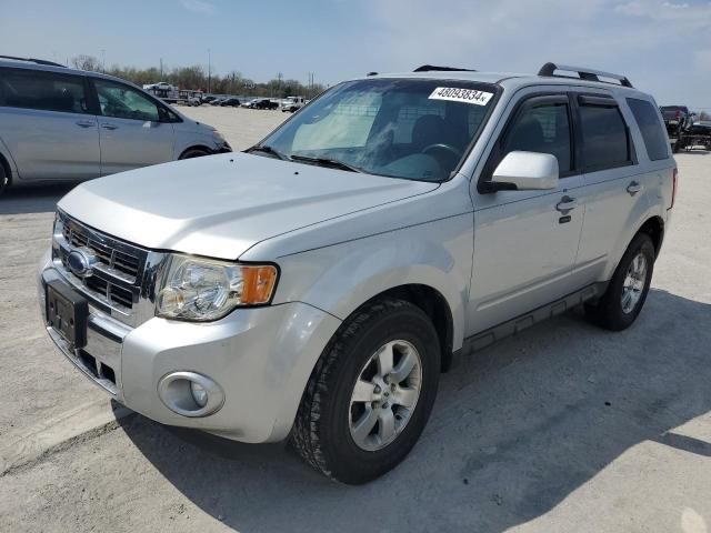 2009 Ford Escape Limited