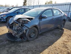 Salvage cars for sale from Copart Ontario Auction, ON: 2014 Toyota Corolla L