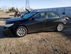 Toyota Camry LE Vehiculos salvage en venta: 2016 Toyota Camry LE