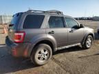 2011 Ford Escape XLS