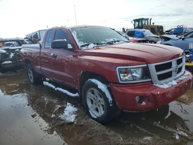 2010 Dodge Dakota SXT