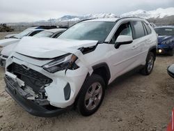 Toyota Rav4 salvage cars for sale: 2022 Toyota Rav4 XLE