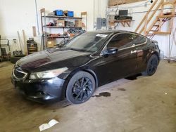 2009 Honda Accord EXL for sale in Ham Lake, MN