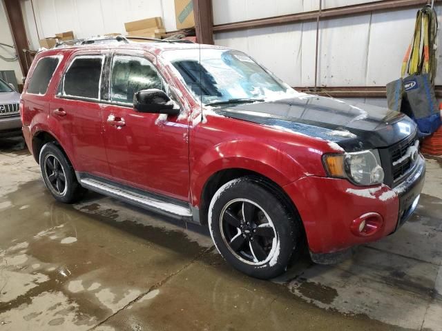 2009 Ford Escape XLT