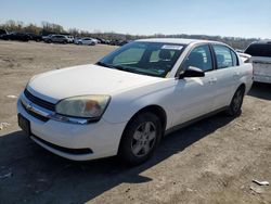 Chevrolet Malibu ls salvage cars for sale: 2005 Chevrolet Malibu LS