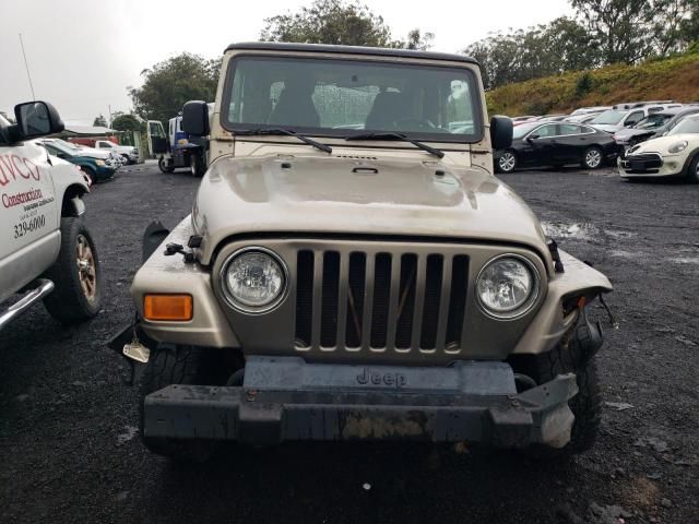 2003 Jeep Wrangler / TJ SE