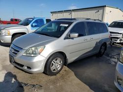 Salvage cars for sale at Haslet, TX auction: 2006 Honda Odyssey EXL