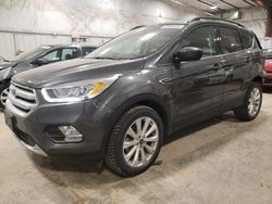 Salvage cars for sale at Milwaukee, WI auction: 2019 Ford Escape SEL