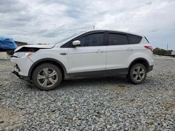 Salvage cars for sale from Copart Tifton, GA: 2014 Ford Escape SE