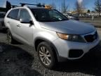 2011 KIA Sorento Base