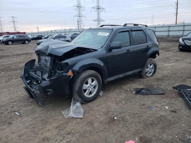 2009 Ford Escape XLT