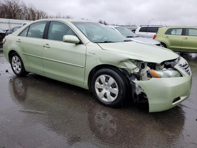 2009 Toyota Camry Hybrid