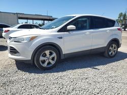 Salvage cars for sale from Copart Riverview, FL: 2015 Ford Escape SE