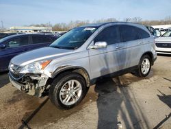 Salvage cars for sale at Louisville, KY auction: 2011 Honda CR-V EXL