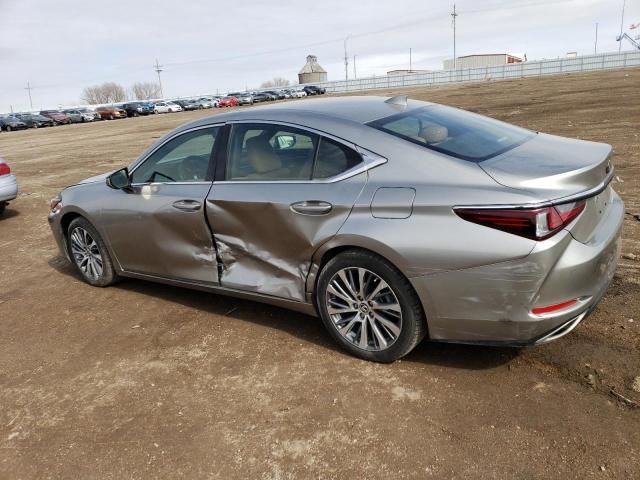 2019 Lexus ES 350