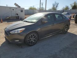 Ford Focus SE salvage cars for sale: 2015 Ford Focus SE