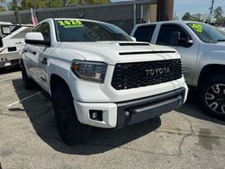 Salvage cars for sale from Copart Midway, FL: 2020 Toyota Tundra Crewmax SR5