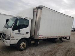 Salvage trucks for sale at Dyer, IN auction: 2019 Hino 155