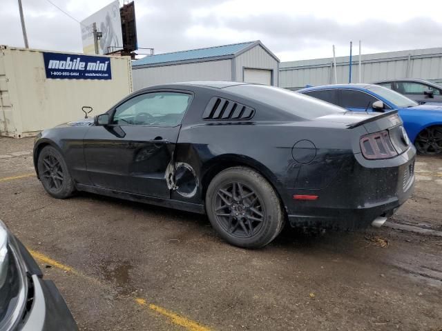 2013 Ford Mustang