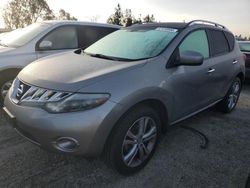 Salvage cars for sale from Copart Rancho Cucamonga, CA: 2009 Nissan Murano S