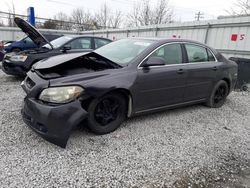 2010 Chevrolet Malibu 1LT for sale in Walton, KY