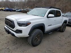 Salvage cars for sale at Marlboro, NY auction: 2023 Toyota Tacoma Double Cab