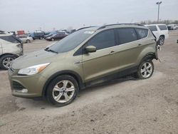 Salvage cars for sale at Indianapolis, IN auction: 2014 Ford Escape SE