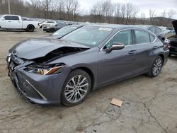 Salvage cars for sale at Marlboro, NY auction: 2020 Lexus ES 350