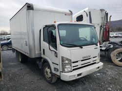 Salvage trucks for sale at Grantville, PA auction: 2015 Isuzu NPR HD