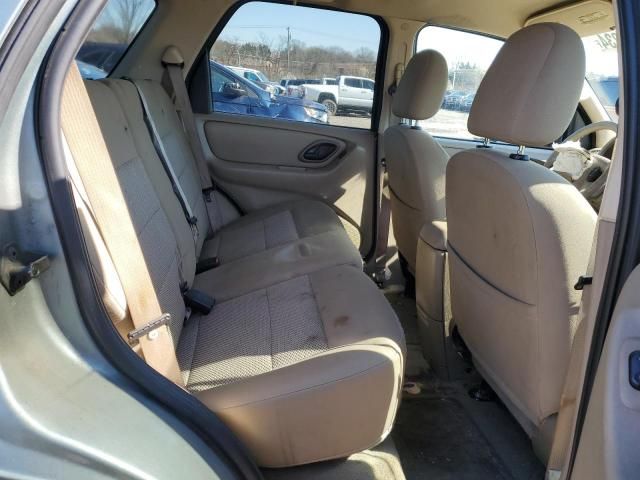 2006 Ford Escape XLT