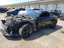 Salvage cars for sale at Louisville, KY auction: 2017 Ford Mustang