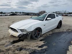 Salvage cars for sale from Copart Fredericksburg, VA: 2014 Ford Mustang