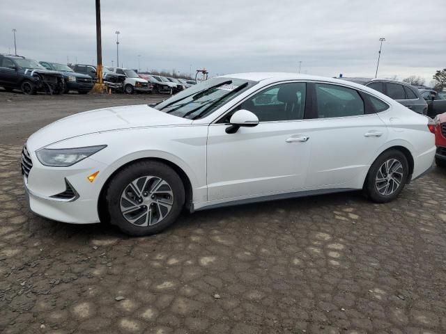 2022 Hyundai Sonata Hybrid