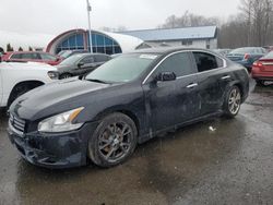 Nissan Maxima S salvage cars for sale: 2013 Nissan Maxima S