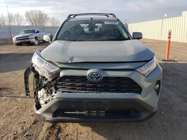 2019 Toyota Rav4 XLE