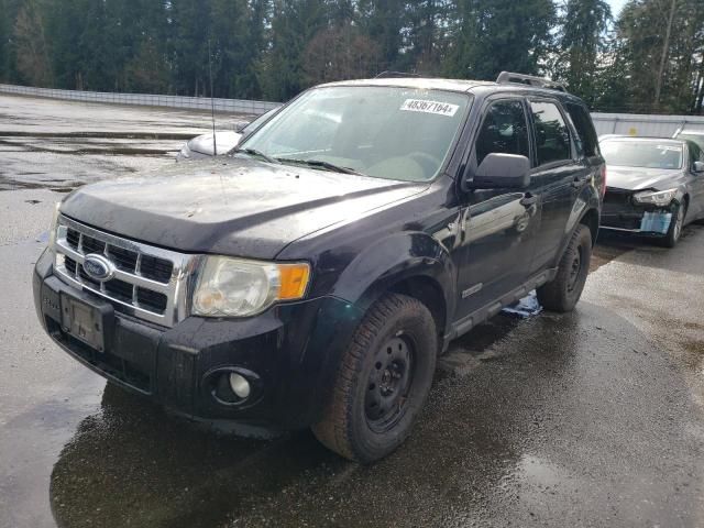 2008 Ford Escape XLT