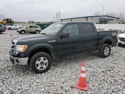 Salvage trucks for sale at Barberton, OH auction: 2014 Ford F150 Supercrew