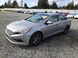 2016 Hyundai Sonata SE en venta en Graham, WA