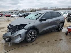 Vehiculos salvage en venta de Copart Louisville, KY: 2021 Ford Escape SE