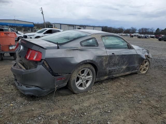 2011 Ford Mustang