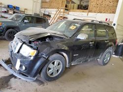 Salvage cars for sale at Ham Lake, MN auction: 2011 Ford Escape XLT