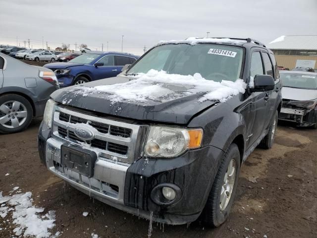 2009 Ford Escape Hybrid