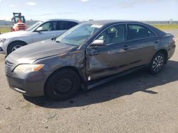 Salvage cars for sale at Sacramento, CA auction: 2008 Toyota Camry CE