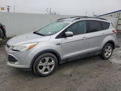 Salvage cars for sale from Copart Albany, NY: 2014 Ford Escape SE