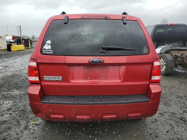 2009 Ford Escape XLT