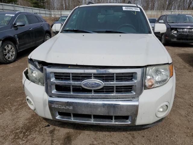 2009 Ford Escape Limited